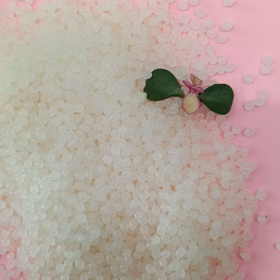 Guorarn Biodegradabile PLA Pbat Plastica Compostabile Nera T